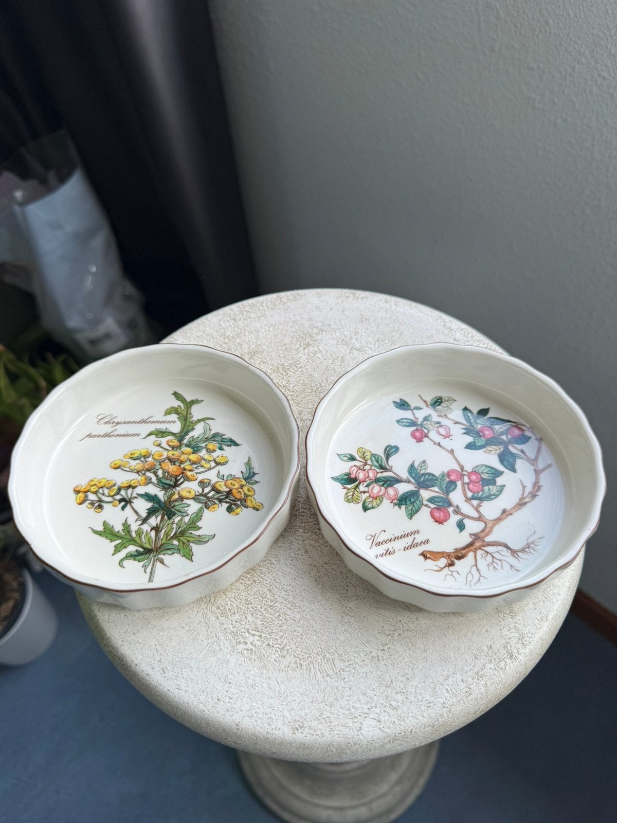 Vintage porcelain baking  dishes from the popular Botanica, Verzenden
