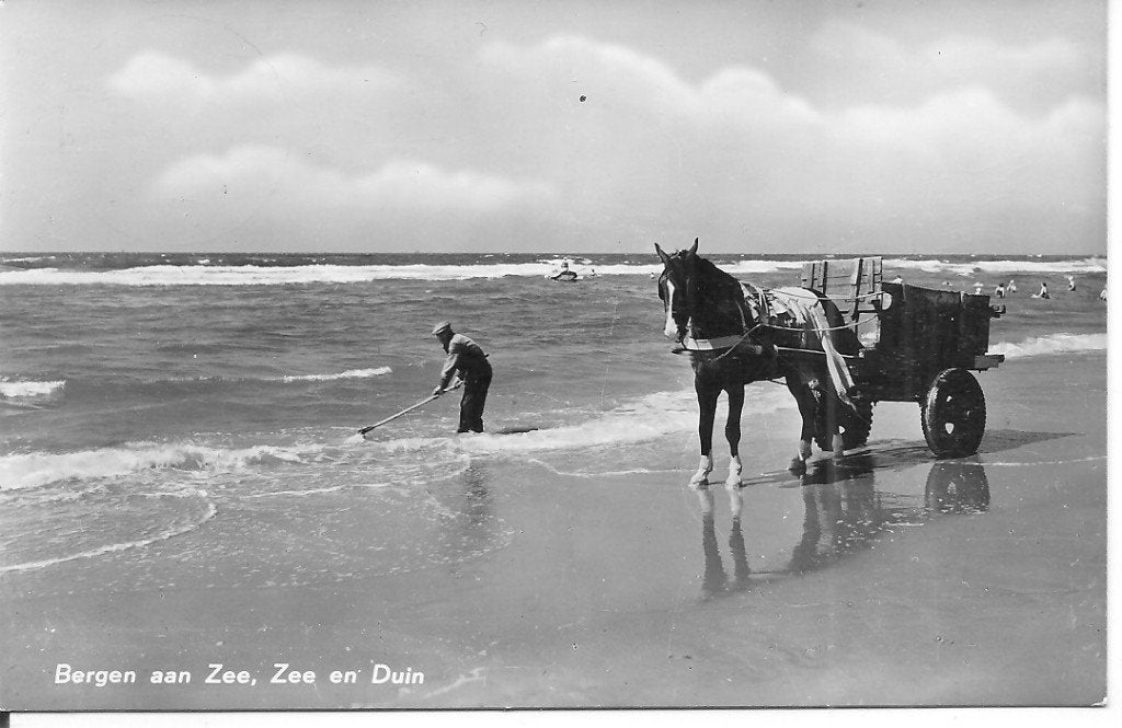 Oude ansichtkaart Bergen aan Zee, Zee en Duin, Ophalen of Verzenden, 1940 tot 1960, Gelopen, Noord-Holland