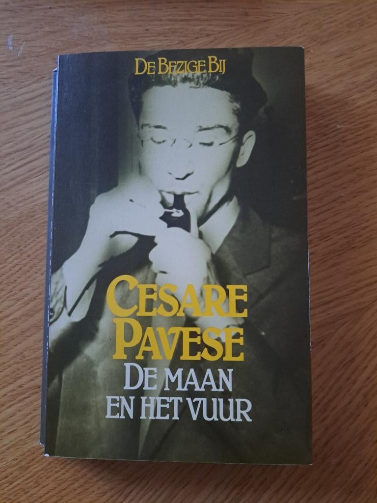 Cesare Pavese - De Maan en het Vuur (De Bezige Bij), Ophalen of Verzenden, Gelezen, Cesare Pavese, Europa overig