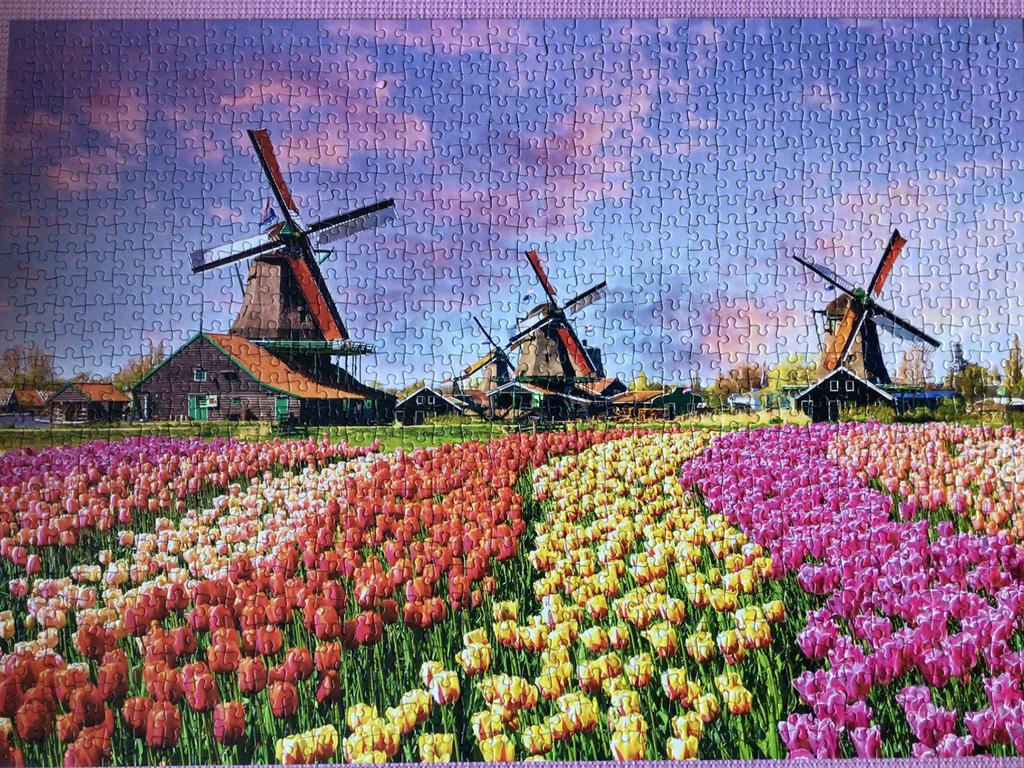 Legpuzzel Bollenvelden en molens, Ophalen of Verzenden, 500 t/m 1500 stukjes, Zo goed als nieuw