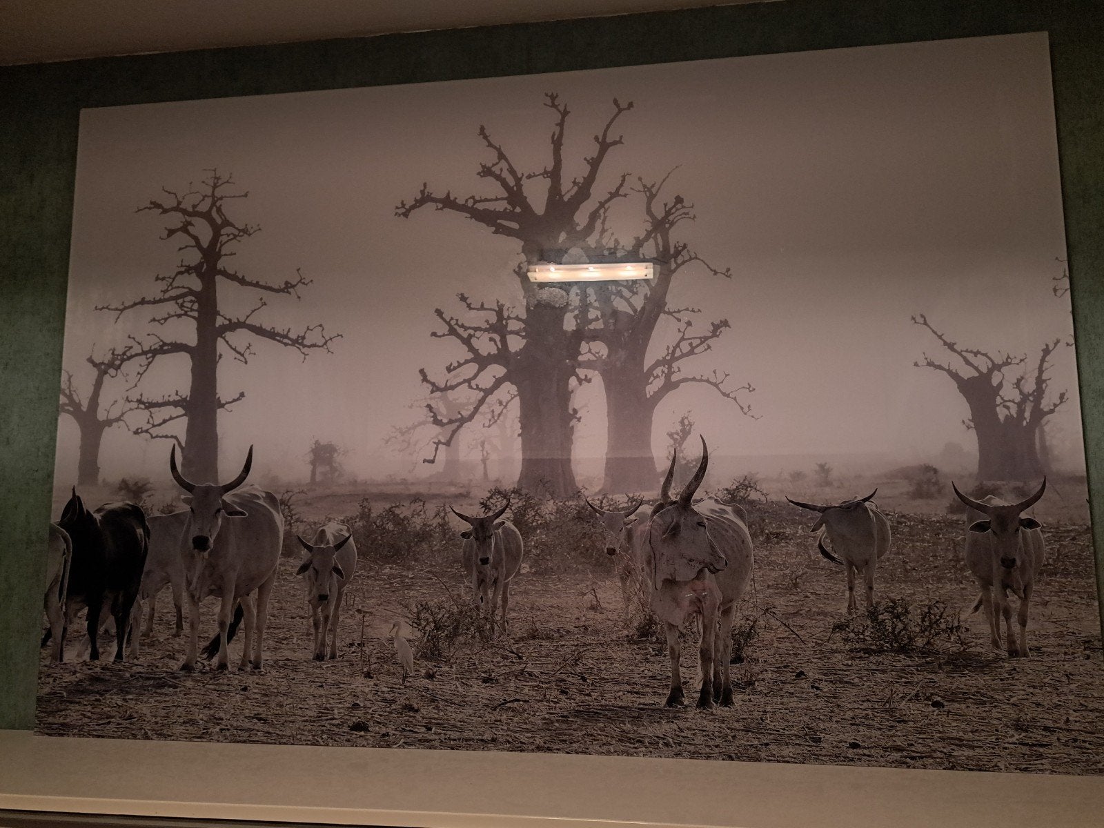 foto lijst groot, Ophalen of Verzenden, Zo goed als nieuw, Schilderij