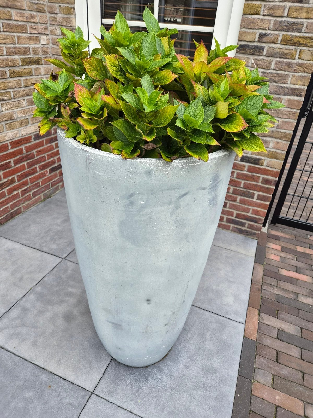 4 bloempotten gevuld met Hortensia, Tuin en Terras, Ophalen, Gebruikt, Rond, Beton