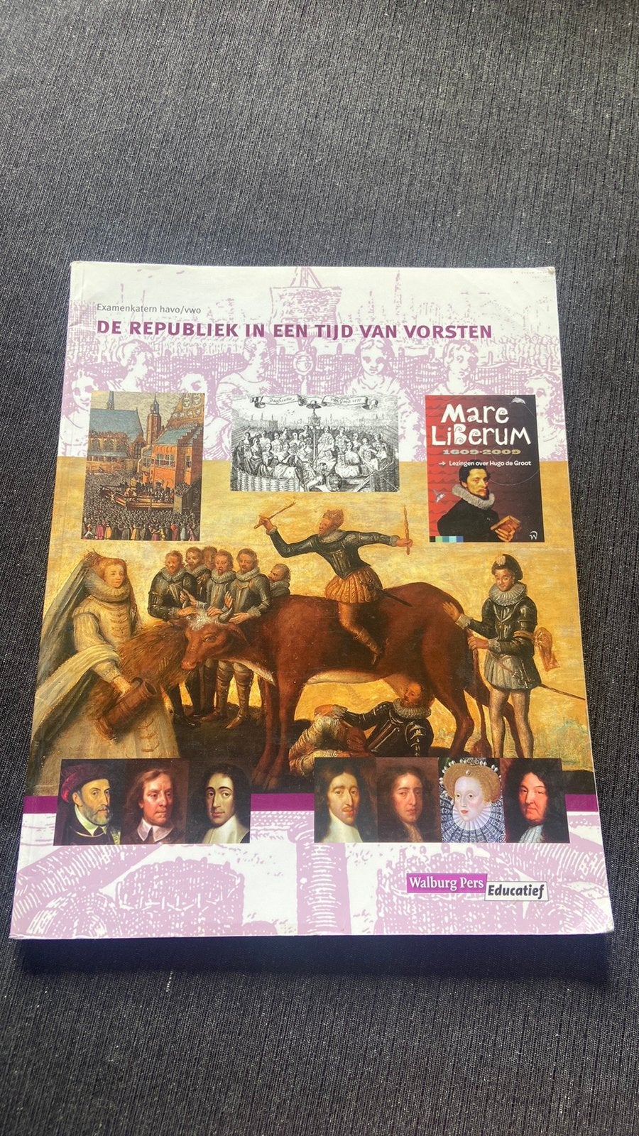 De republiek in een tijd van vorsten, Gelezen, HAVO, Ophalen of Verzenden, Leo Dalhuisen; Frans Steegh; Conny Bastiaans; Roen van der Geest