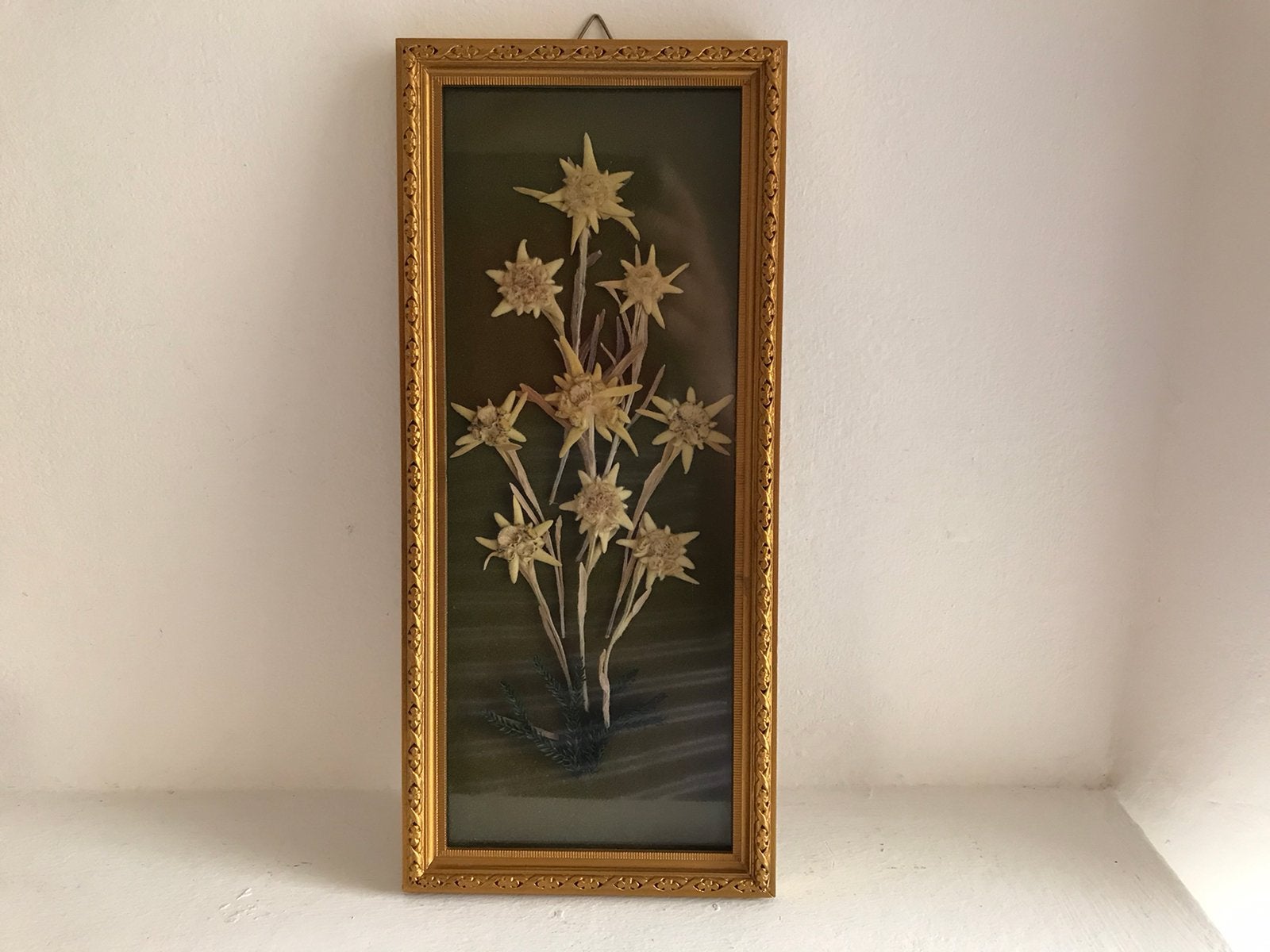 Lijstje met Edelweiss, Ophalen of Verzenden