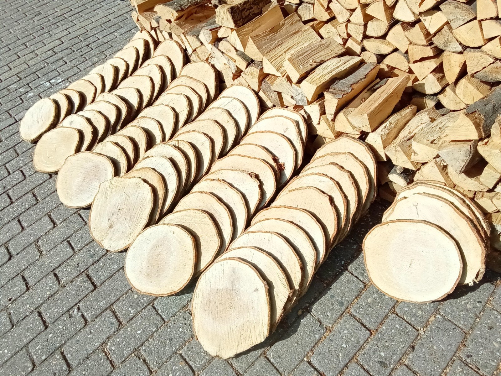 Boomschijven, houtschijven, Am. eiken, 60 stuks, Ophalen, Overige thema's, Nieuw, Hout