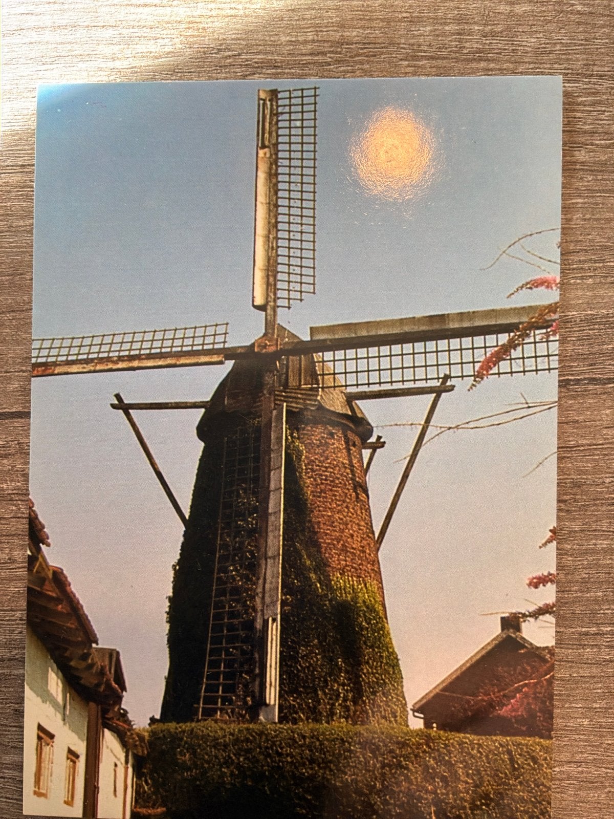Ansichtkaart Molen Nuth, Verzenden, 1980 tot heden, Ongelopen, Limburg