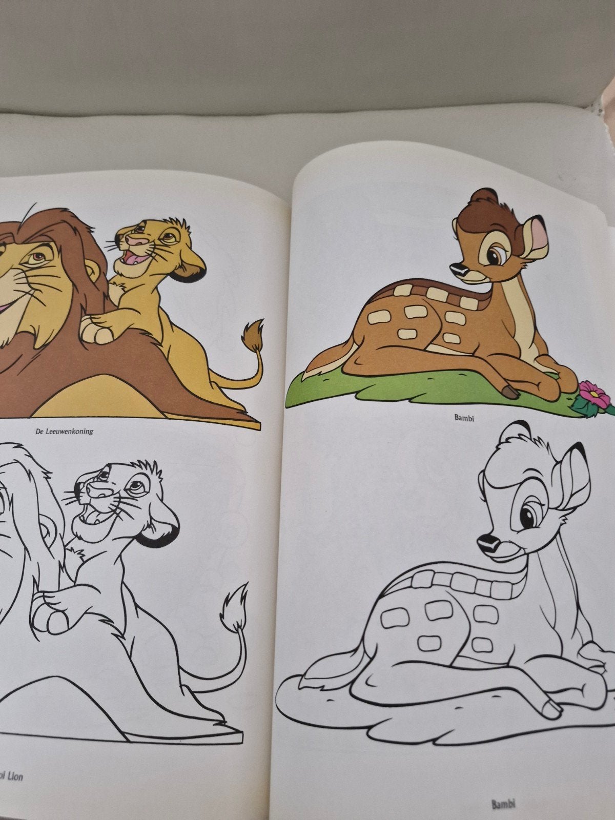 Disney Kleurblokken en Kleurboek - Diverse Thema's, Ophalen of Verzenden, Gebruikt, Knutselen