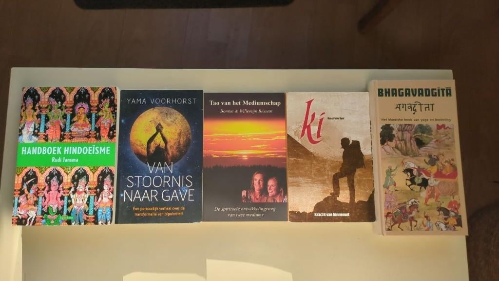 Spirituele boeken – bewustzijn, zingeving & wijsheid, Spiritualiteit algemeen, Overige typen, Diverse auteurs, Ophalen of Verzenden