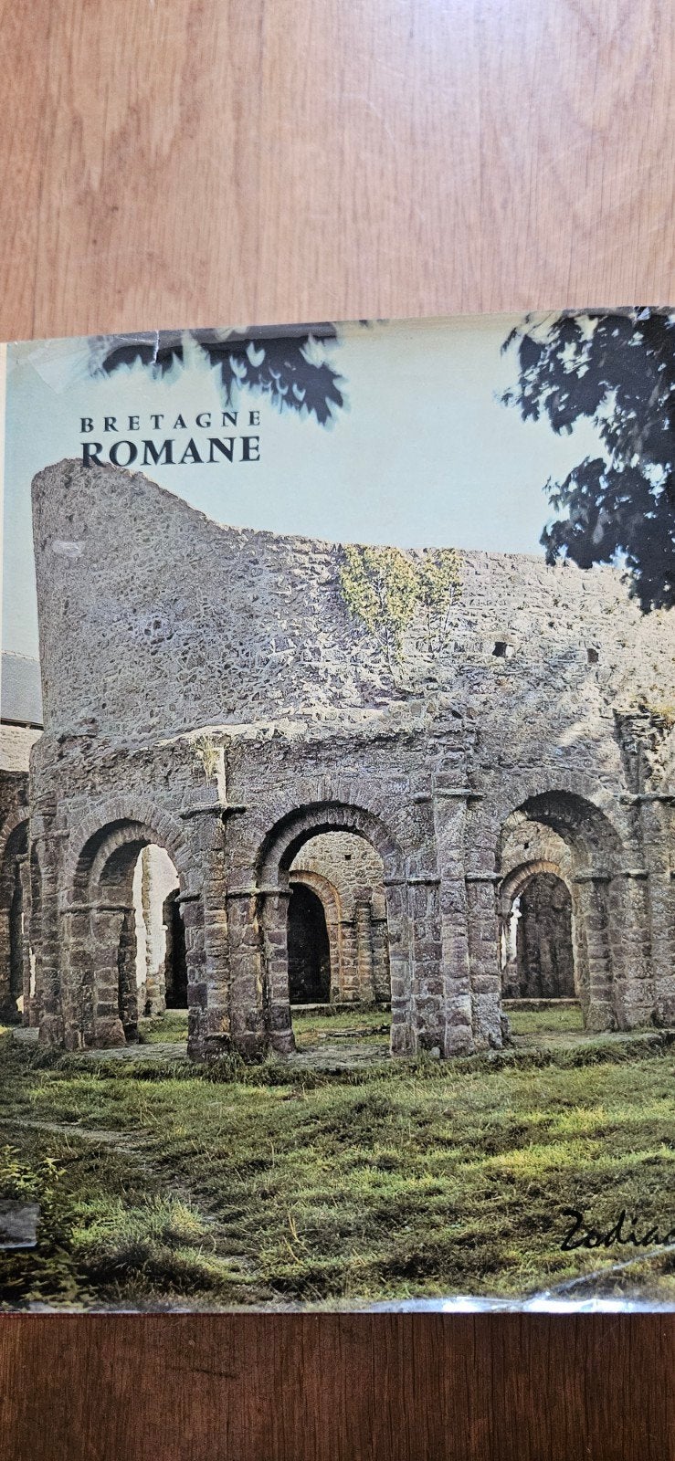 Bretagne Romane - Historisch Boek over Romaanse Architectuur, Boeken, Ophalen of Verzenden, Gelezen, Onbekend, Europa overig