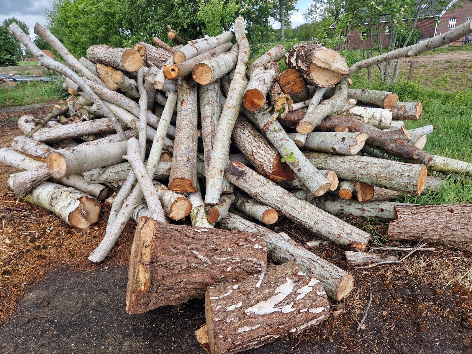 Haardhout voor de snelle beslisser!!, Tuin en Terras, Haardhout, Minder dan 3 m³, Ophalen of Verzenden