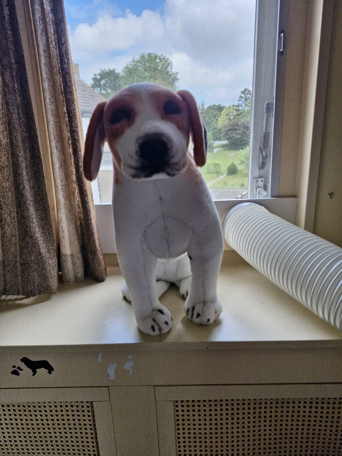 Knuffelhond, Ophalen, Zo goed als nieuw, Overige typen