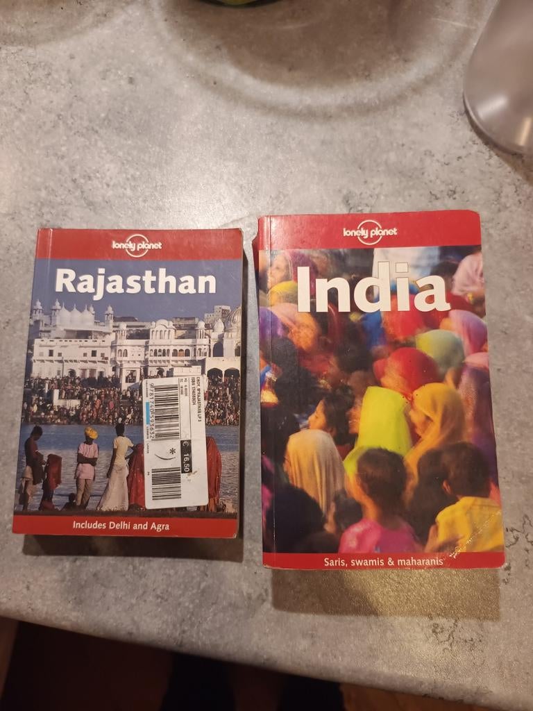 Lonely Planet Reisgidsen: India en Rajasthan (incl. Delhi), Gelezen, Lonely Planet, Budget, Ophalen of Verzenden