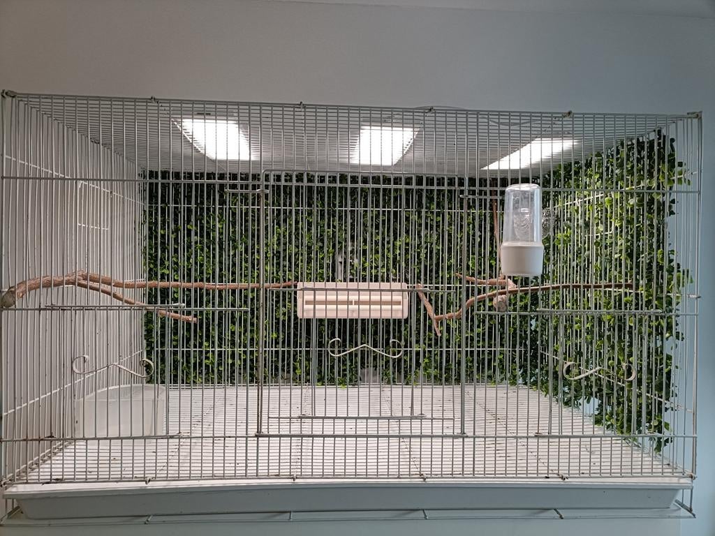 Italiaanse draad/ keek kooi compleet met toebehoren, Dieren en Toebehoren, Vogels | Hokken en Kooien, Ophalen, Broedkooi of Kweekkooi
