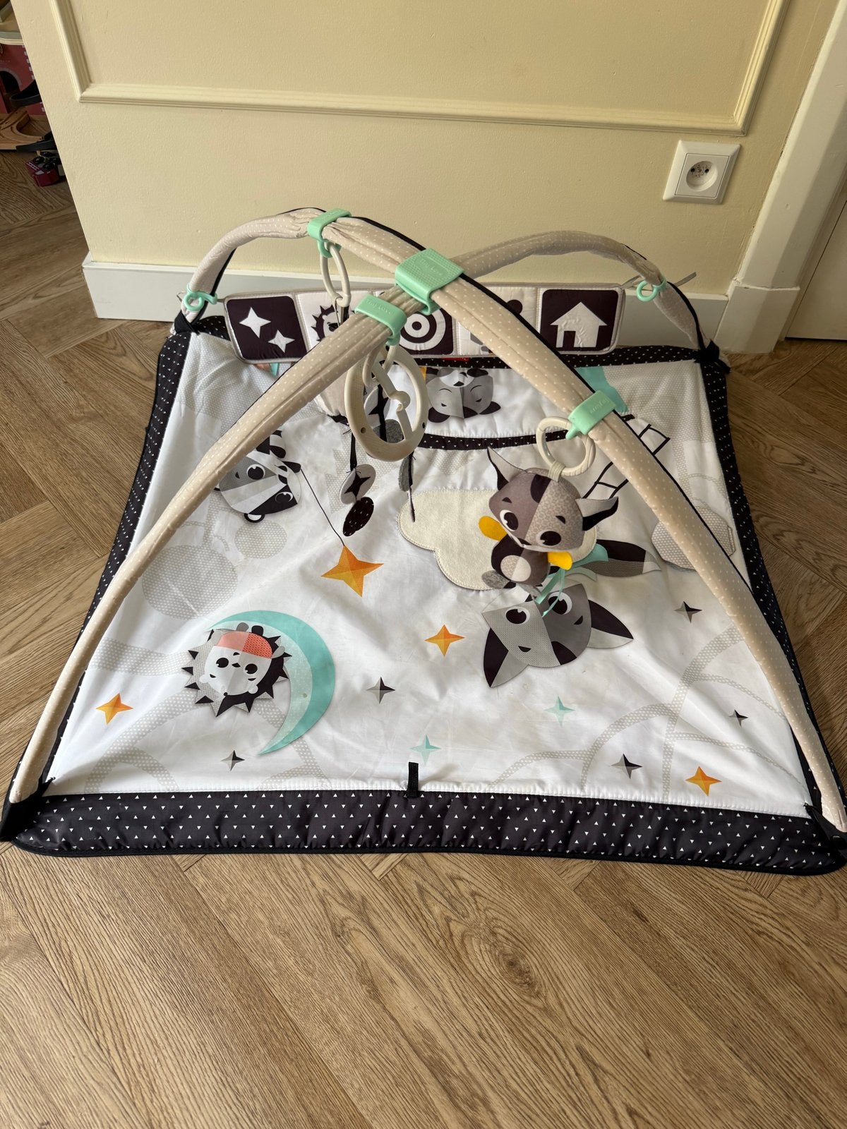 Tiny Love Speelkleed met bogen en speeltjes, Ophalen, Gebruikt, Speelkleed, Met geluid