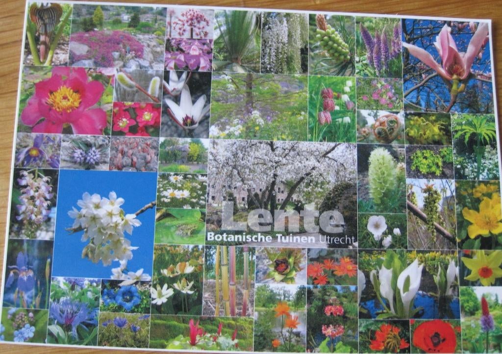 Lente in de botanische tuinen - Utrecht, Verzenden, 1980 tot heden, Gelopen, Natuur