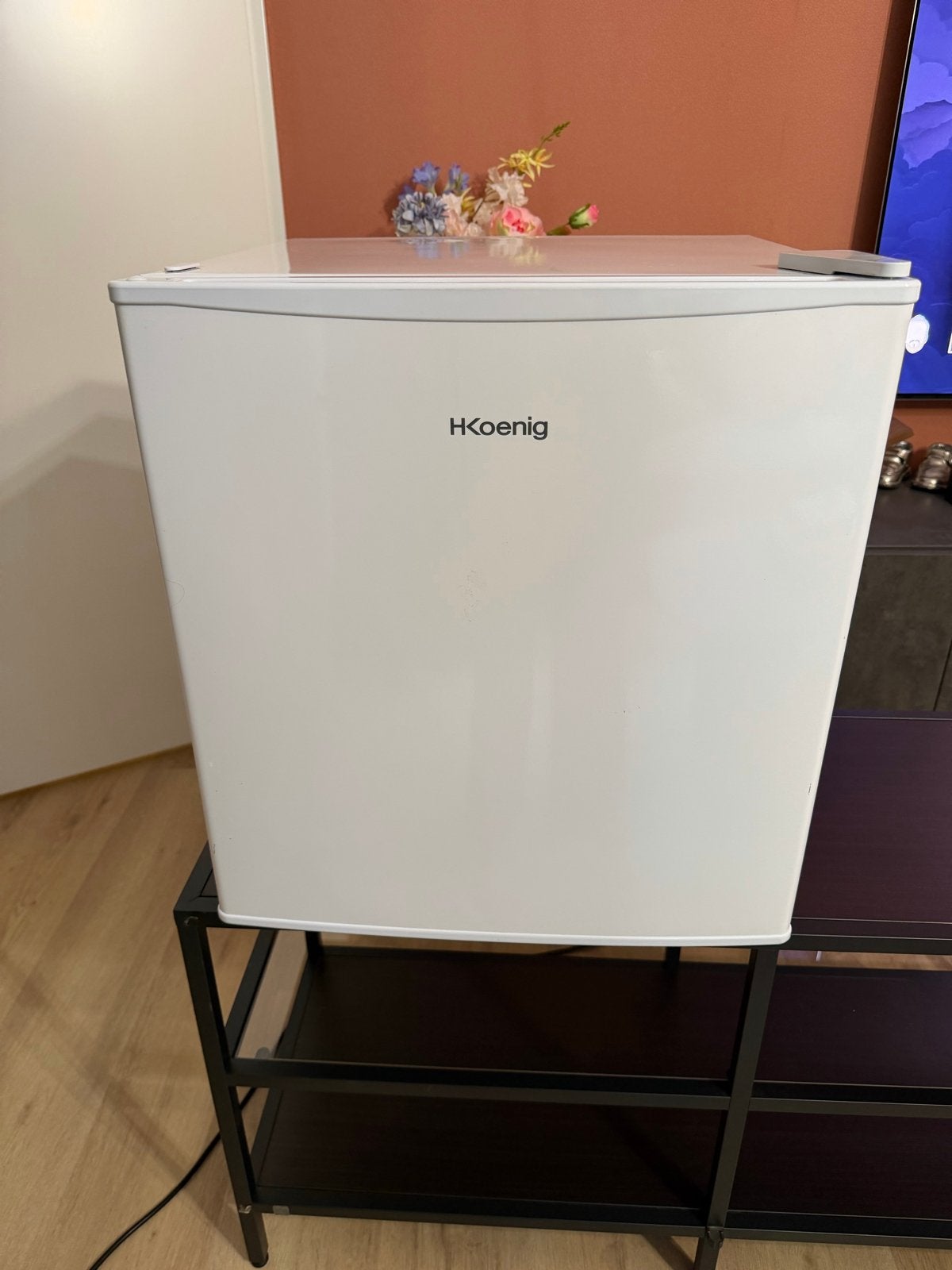 Minikoelkast H.Koenig FGX480, Ophalen, Minder dan 85 cm, 45 tot 60 cm, Met vriesvak