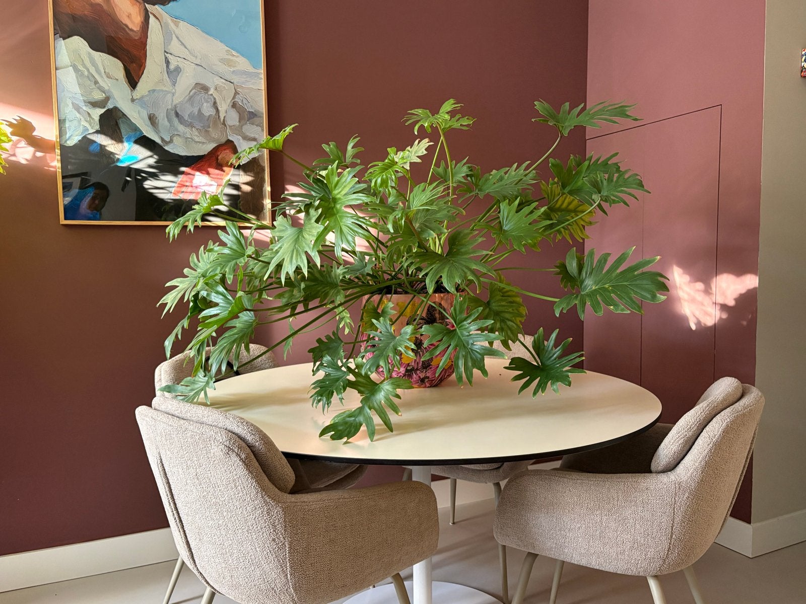 Grote Philodendron plant (incl. binnenpot), Huis en Inrichting, Groene kamerplant, Ophalen, Overige soorten, In pot