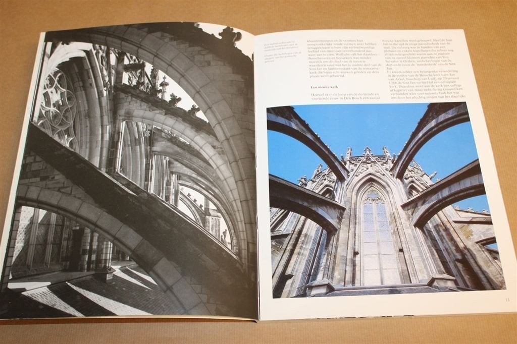 De Sint Jan van \'s-Hertogenbosch — Kathedraal, Fotoboek 198, Boeken, Geschiedenis | Stad en Regio, Ophalen of Verzenden, Zo goed als nieuw