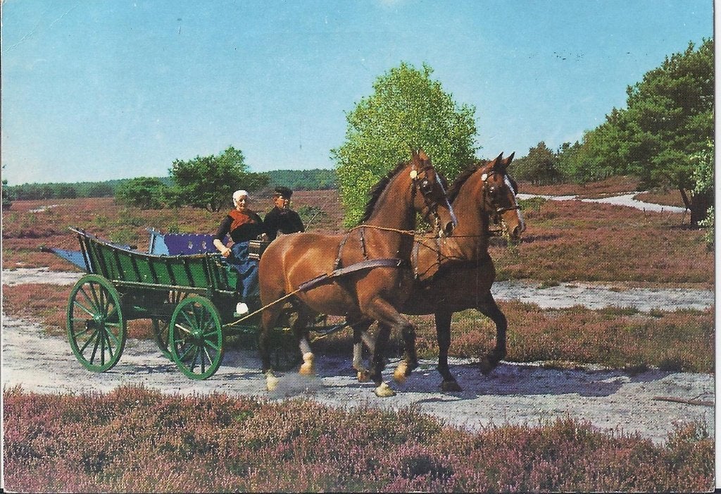 Emmen Gelopen Ansichtkaart (7740), Ophalen of Verzenden, 1980 tot heden, Gelopen, Drenthe