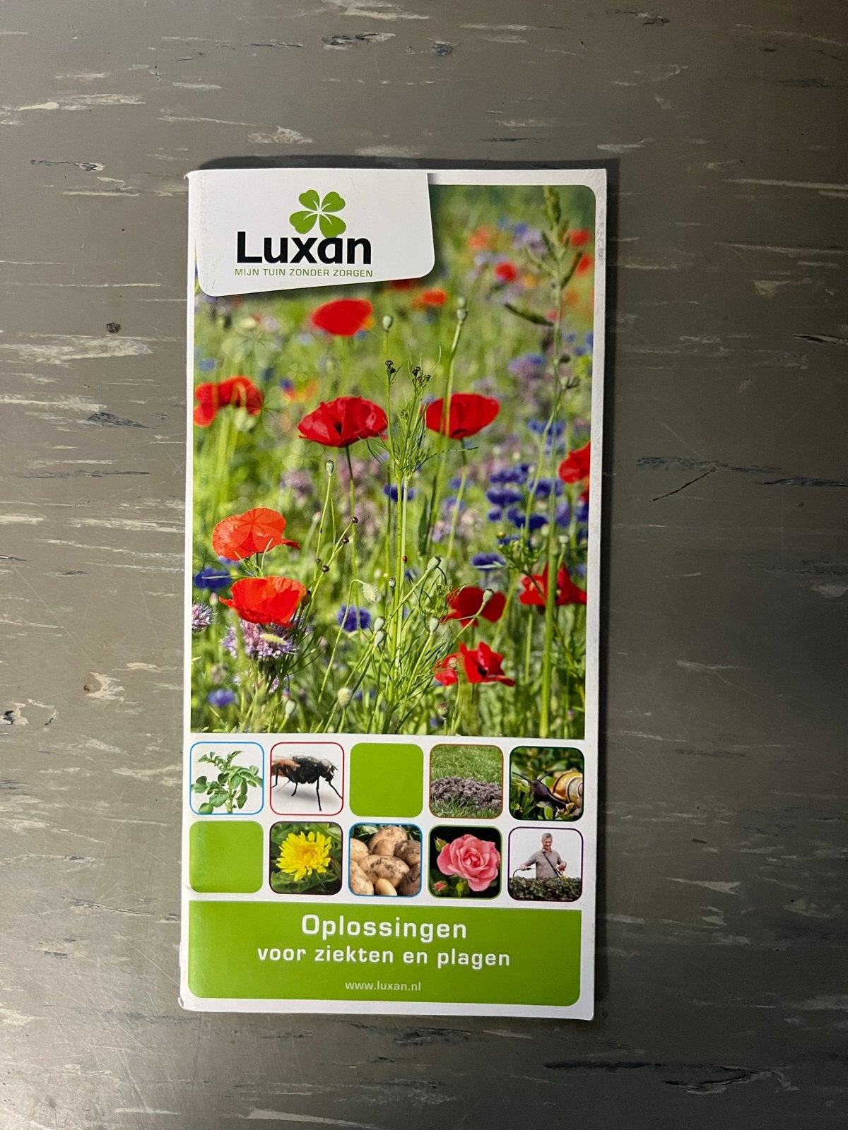 Luxan folder: Oplossingen voor ziekten en plagen in de tuin, Tuin en Terras, Ophalen of Verzenden, Nieuw, Overige soorten