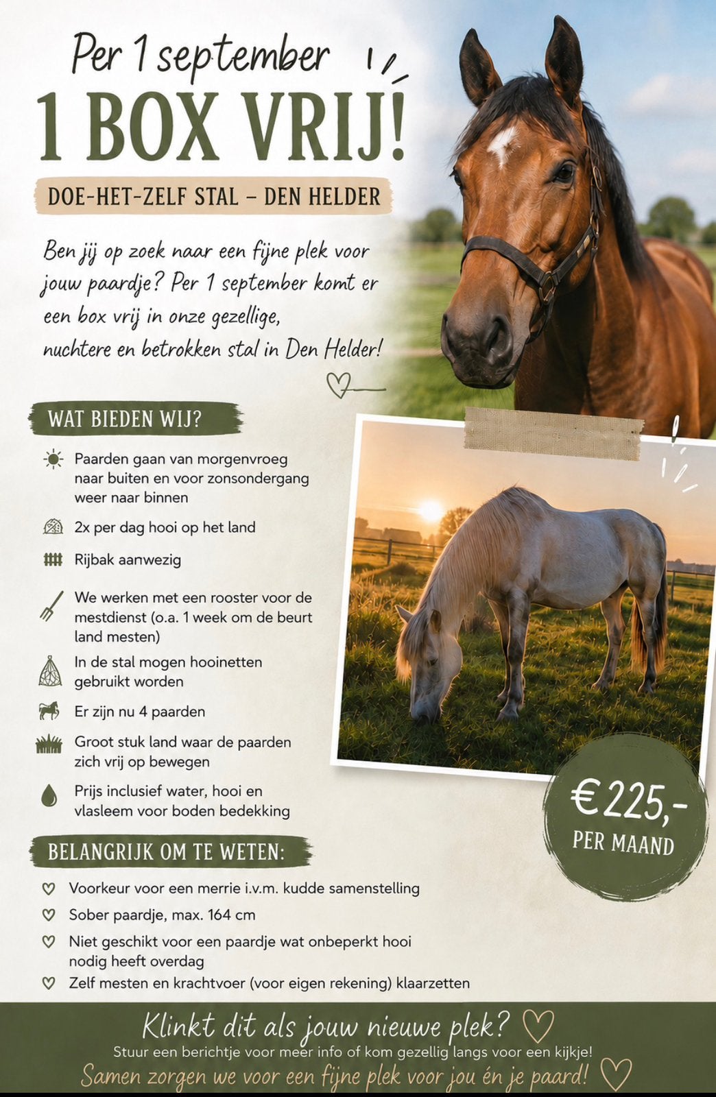Stalling en weidegang aangeboden Den Helder, Weidegang