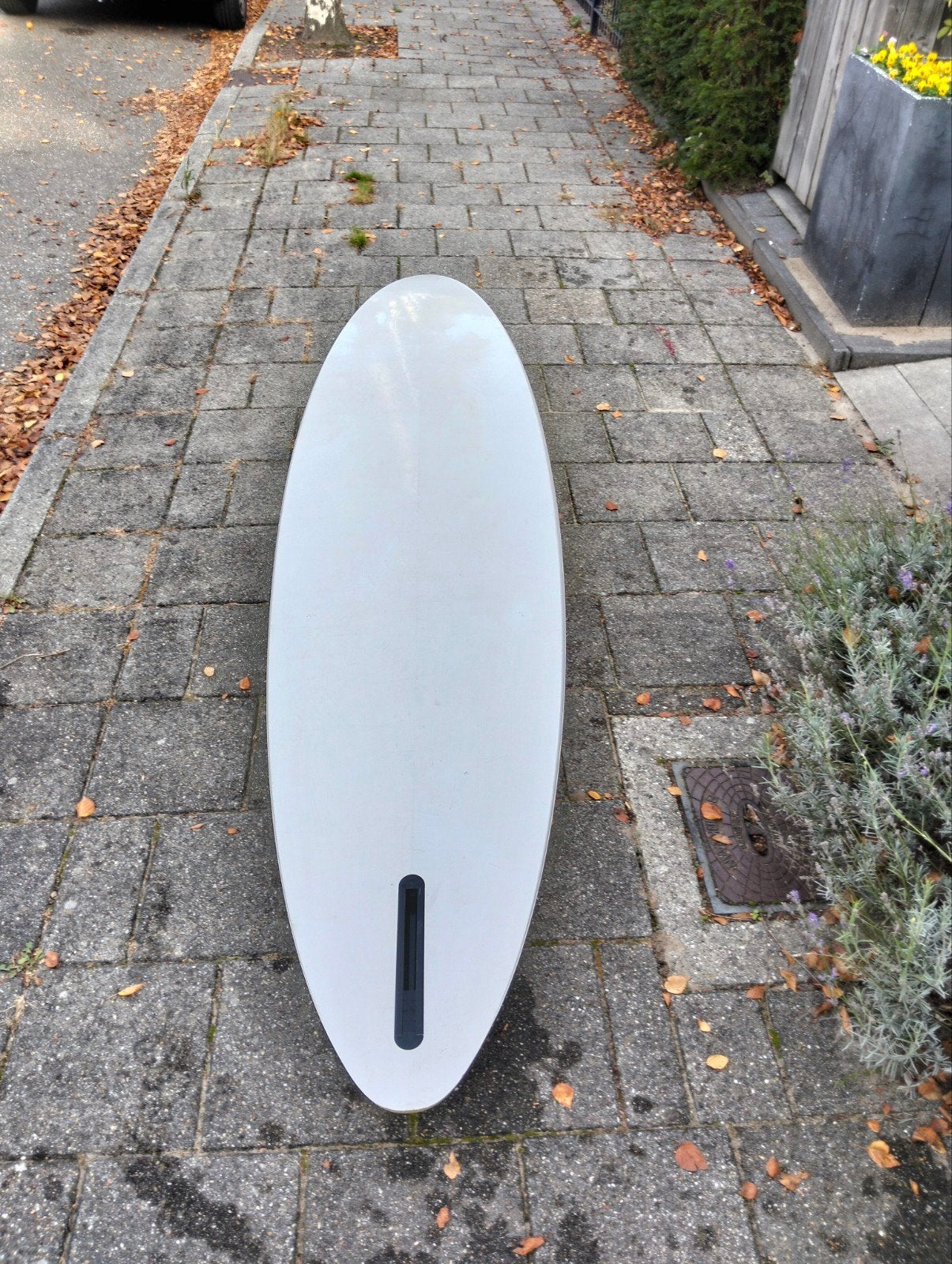 Foto 5 van Bic windsurfplank