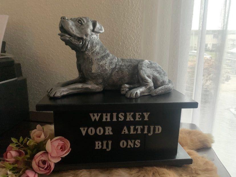 Amerikaanse Bulldog hondenbeeld op urn als set handgemaakt, Ophalen of Verzenden, Nieuw