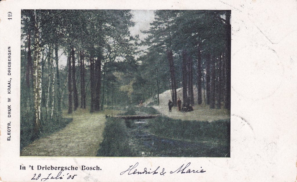 Driebergsche Bosch' . In 't (1905), Verzenden, Voor 1920, Gelopen, Utrecht