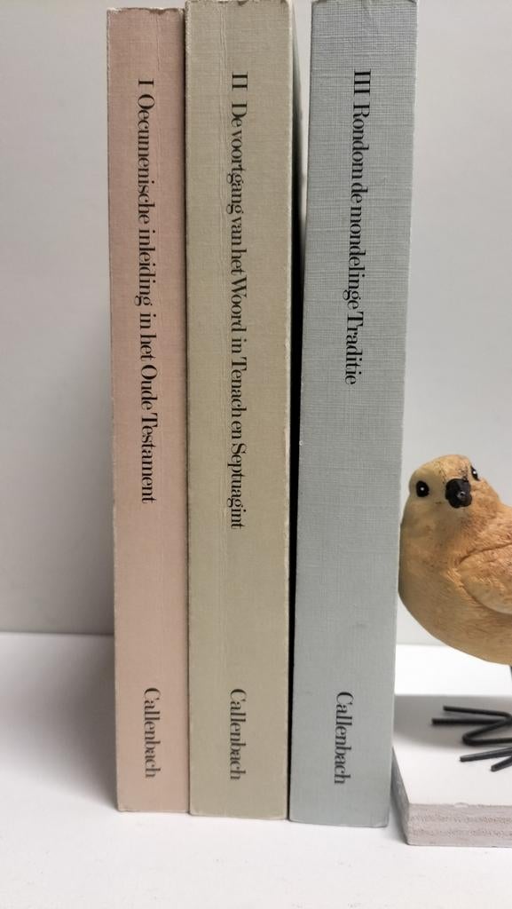 Hanegraaf, Ds. J.; Met de Torah is het begonnen ( 3 delen), Ophalen of Verzenden, Gelezen, Christendom | Protestants
