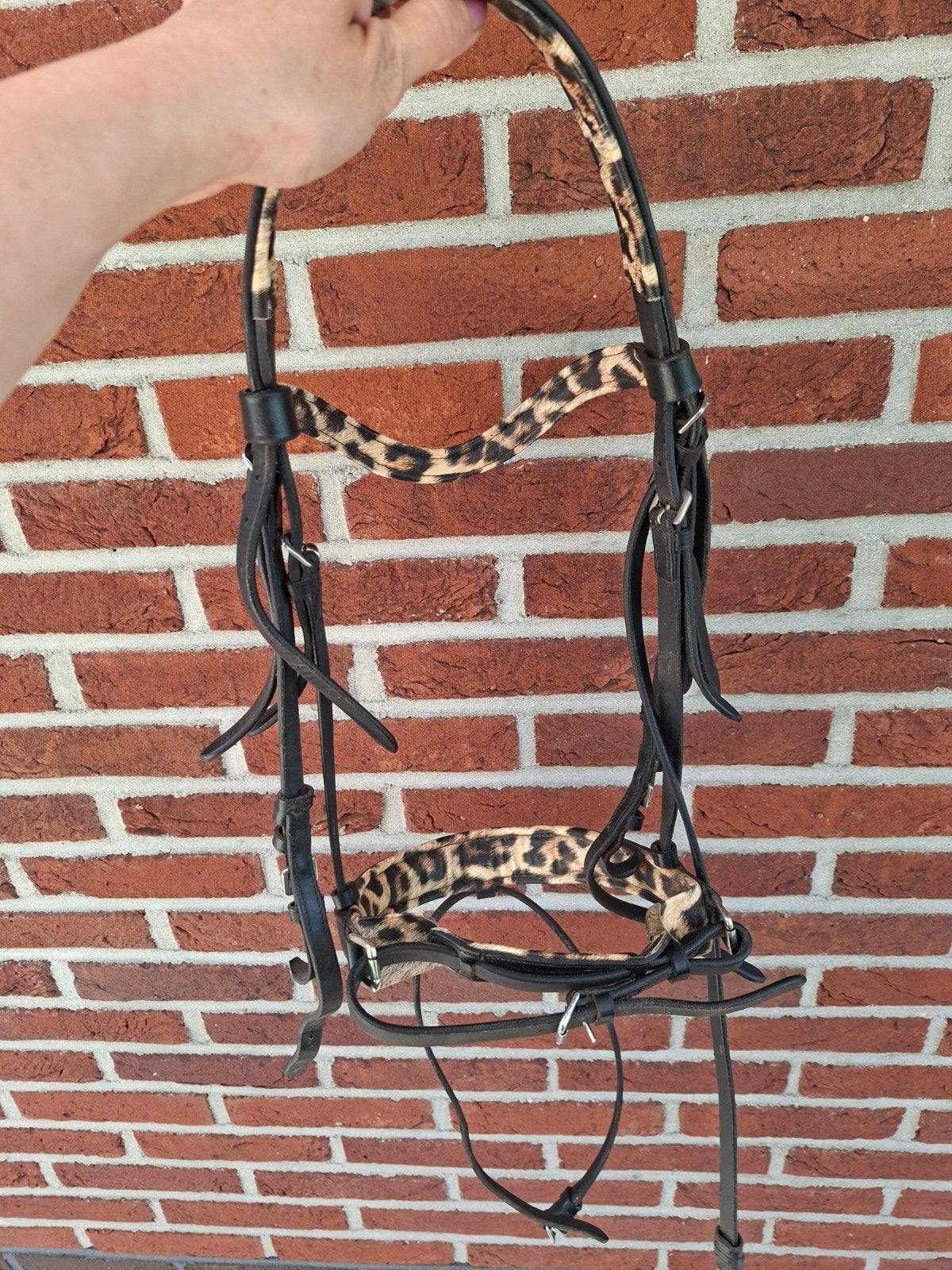 Hoofdstel full zwart net panter print, Dieren en Toebehoren, Paarden en Pony's | Hoofdstellen en Tuigage, Ophalen, Zo goed als nieuw