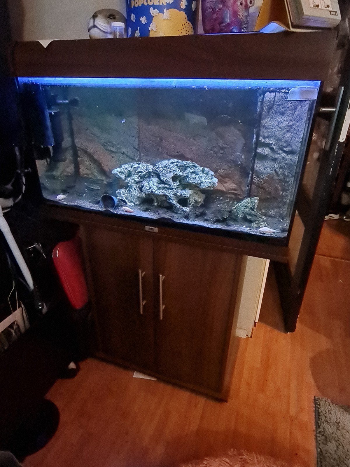 Juwel aquarium 80cm breed, Ophalen, Gebruikt, Pomp, Aquariummeubel