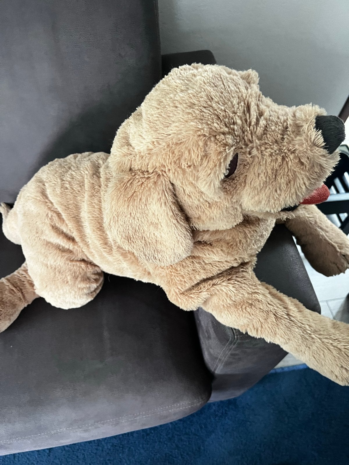 Grote zachte pluche hond - Ideaal als knuffel of decoratie, Ophalen, Overige merken, Overige karakters, Hond