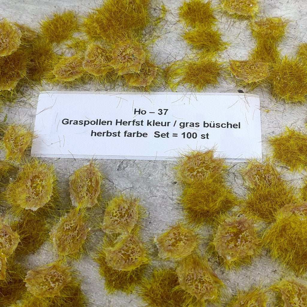 modeltrein Ho – 37 GRASPOLLEN  HERFST kleur, Overige merken, Gelijkstroom, Natuur, Nieuw