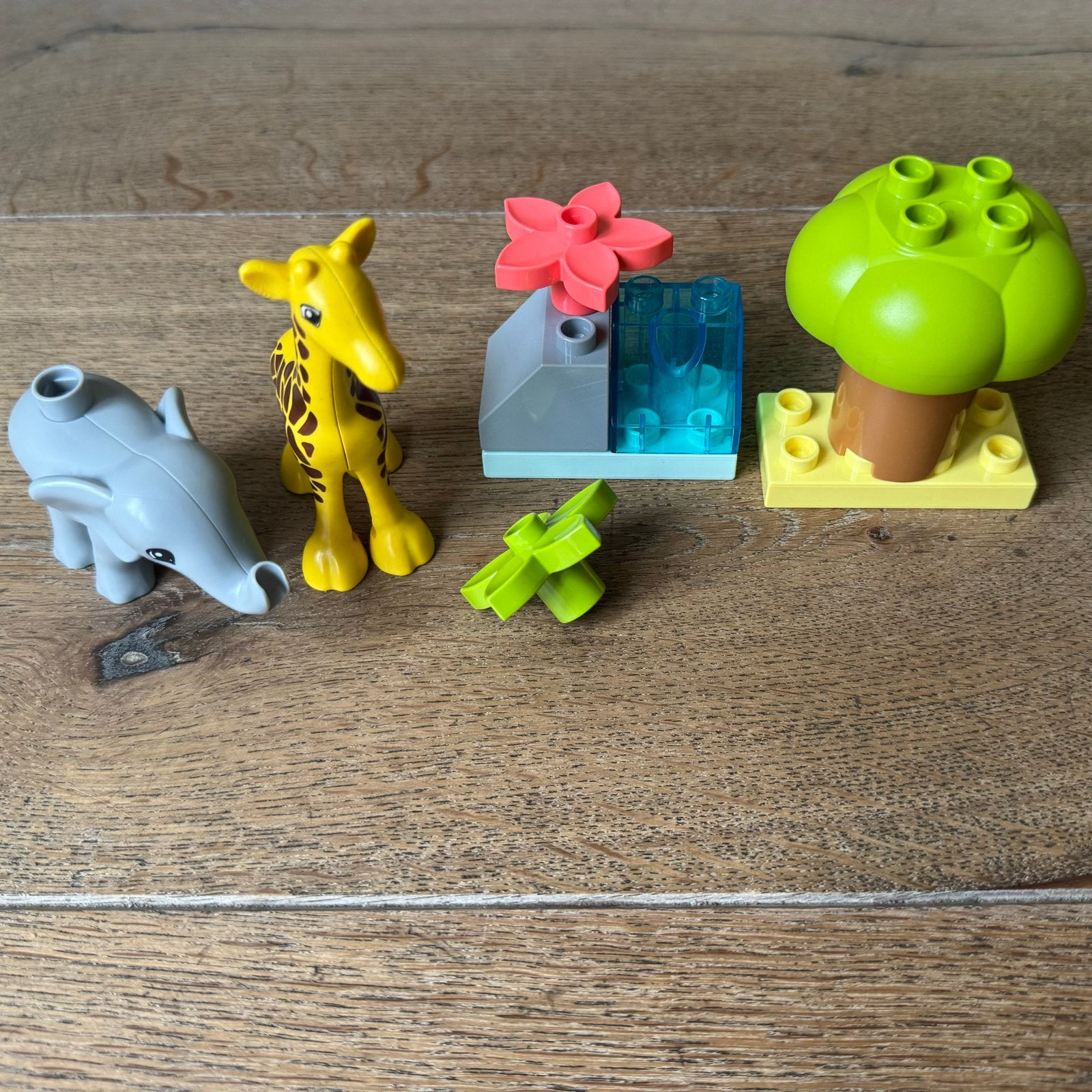 Lego Duplo Wilde Dieren van Afrika 10971, Ophalen, Overige thema's, Zo goed als nieuw, Compleet