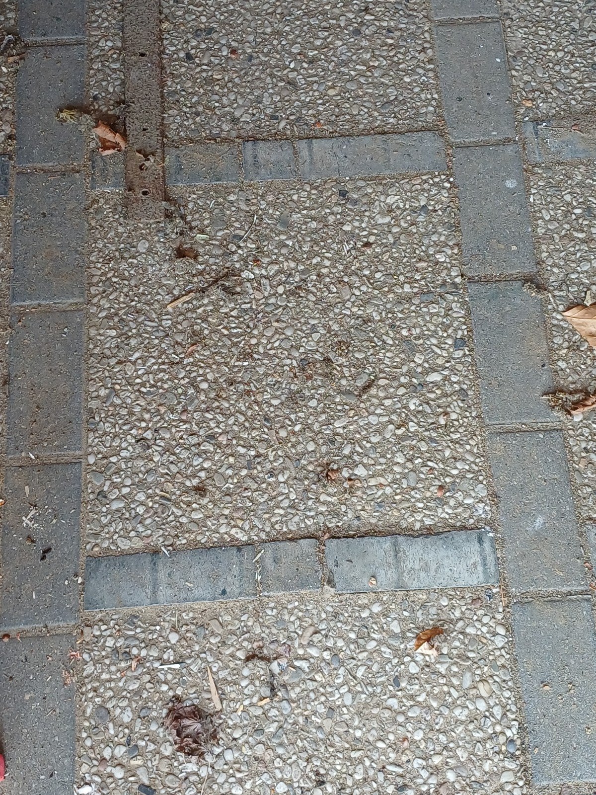 Gebruikte grindtegels, Gebruikt, Klinkers, Ophalen of Verzenden, Minder dan 5 m²