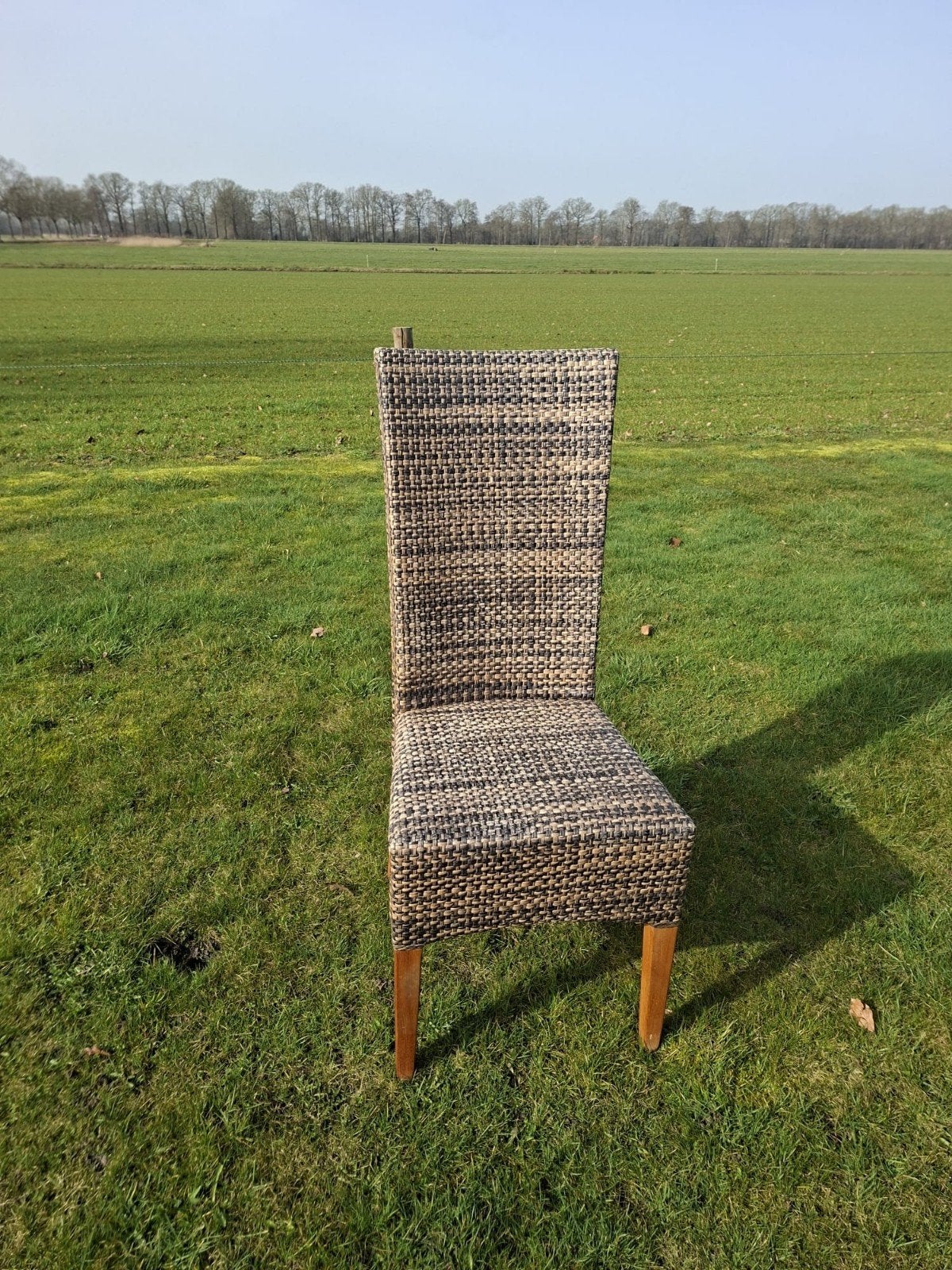 5 gratis stoelen, Ophalen, Gebruikt, Overige kleuren, Overige materialen
