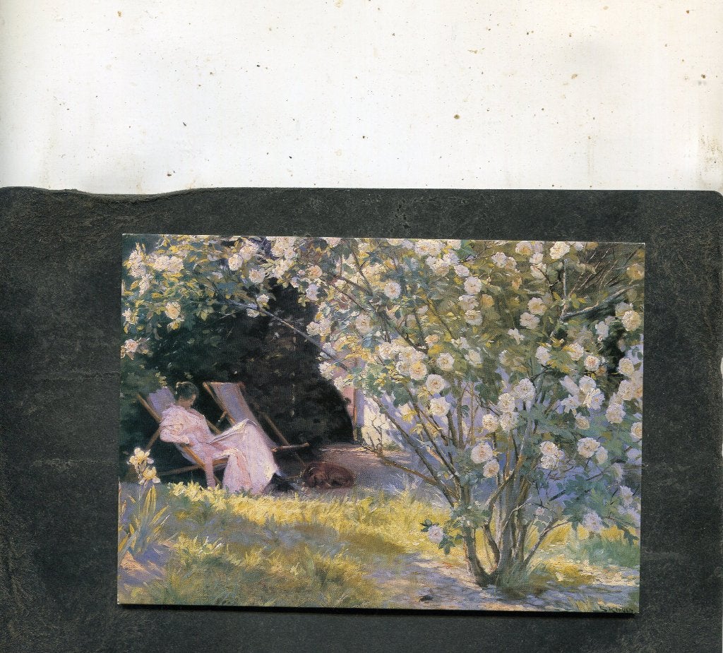 Ansicht Peter Kroyer - Roses, Verzamelen, Ansichtkaarten | Themakaarten, Verzenden, 1980 tot heden, Ongelopen