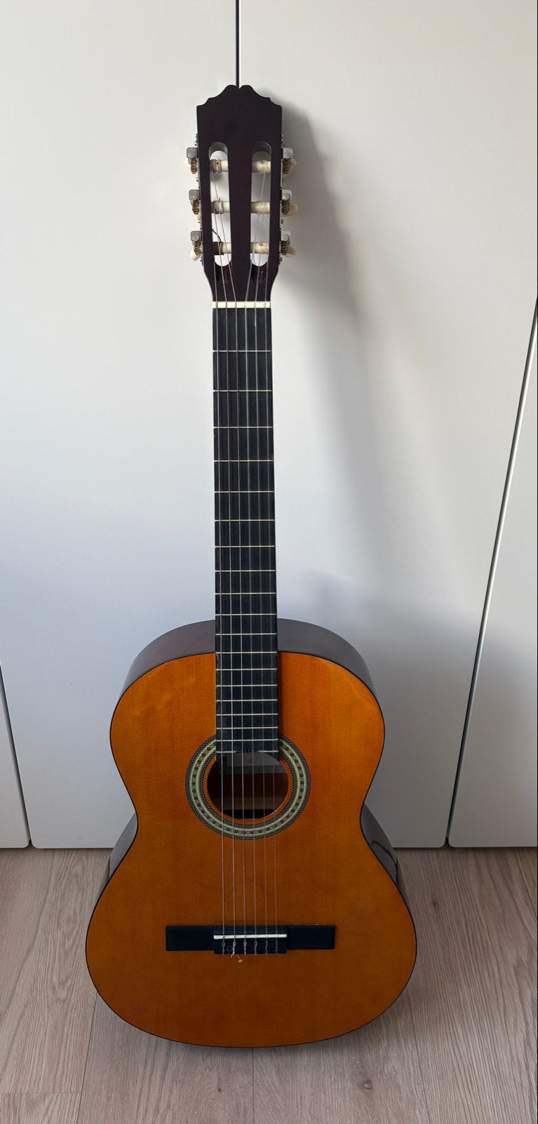 Special Edition Klassieke Gitaar met Ritter Opberghoes, Ophalen, Zo goed als nieuw, Klassieke of Spaanse gitaar