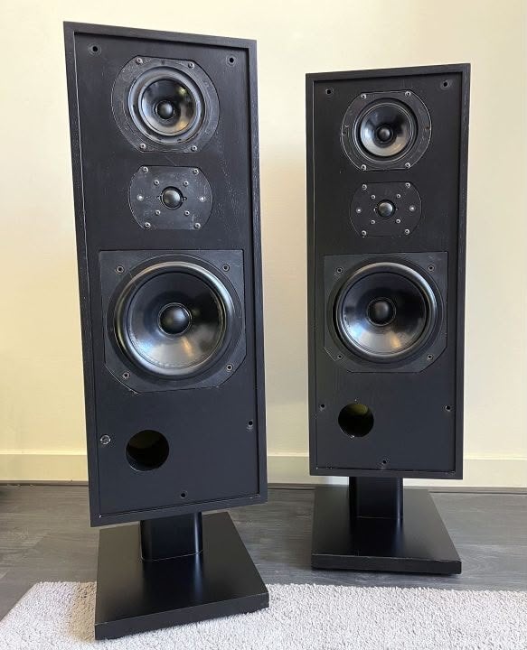 B&W DM2 Series 2 Vloerstaande Luidsprekers, Audio, Tv en Foto, Vloerstaande luidspreker, Gebruikt, Ophalen of Verzenden, Bowers & Wilkins (B&W)