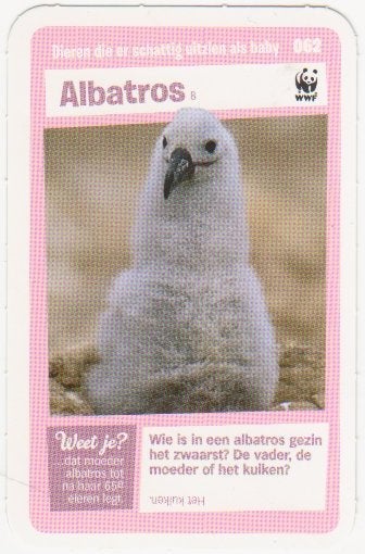 Super dieren no.62 Albatros [2711]  [VeOvSu], Albert Heijn, Ophalen of Verzenden