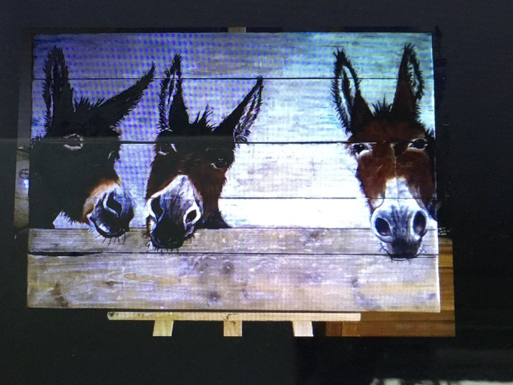 Schilderij op hout, Ophalen, Hout, Gelakt/vernis, Dieren