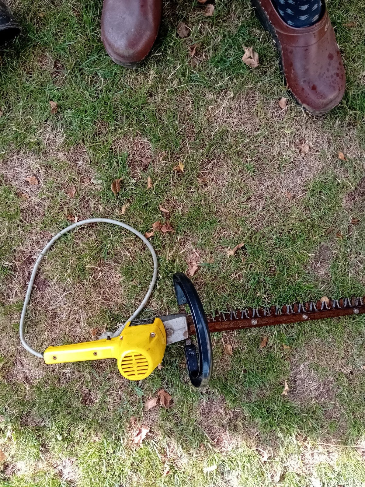heggenschaar, Tuin en Terras, Heggenscharen, Ophalen, Gebruikt, Elektrisch