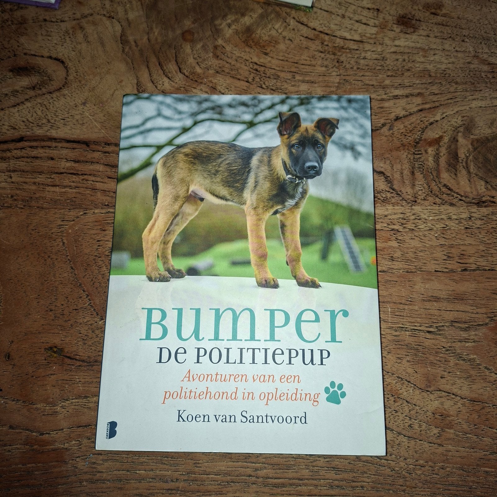 Bumper de Politiepup: Avonturen van een politiehond, Boeken, Ophalen of Verzenden