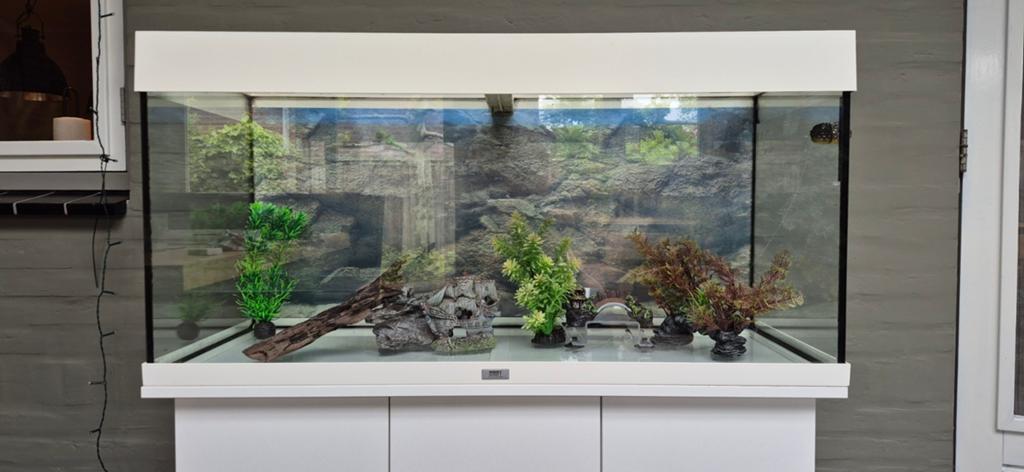 Juwel 180l aquaria, Ophalen, Gebruikt, Leeg aquarium, Inclusief deksel