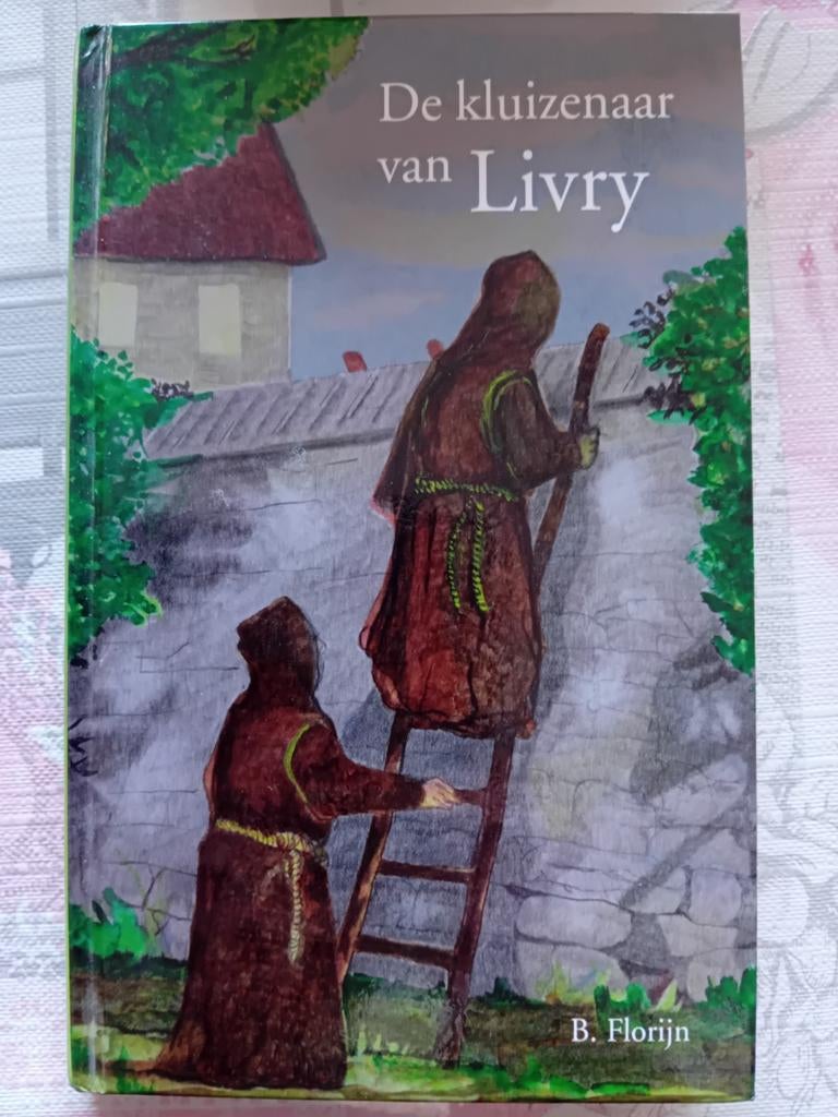De kluizenaar van Livry - B. Florijn, Boeken, Ophalen of Verzenden, Zo goed als nieuw, B. Florijn, Christendom | Protestants