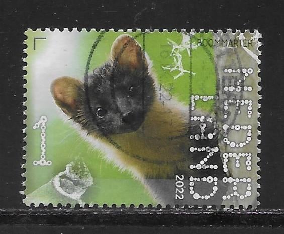 2022, Leuvenumse Bossen, Boommarter [4045] (K0618), Ophalen of Verzenden