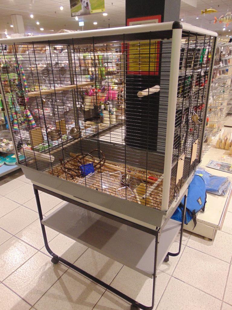 Gebruikte vogelkooi groot z.g.a.n. in Assen., Dieren en Toebehoren, Ophalen, Gebruikt, Metaal, Vogelkooi