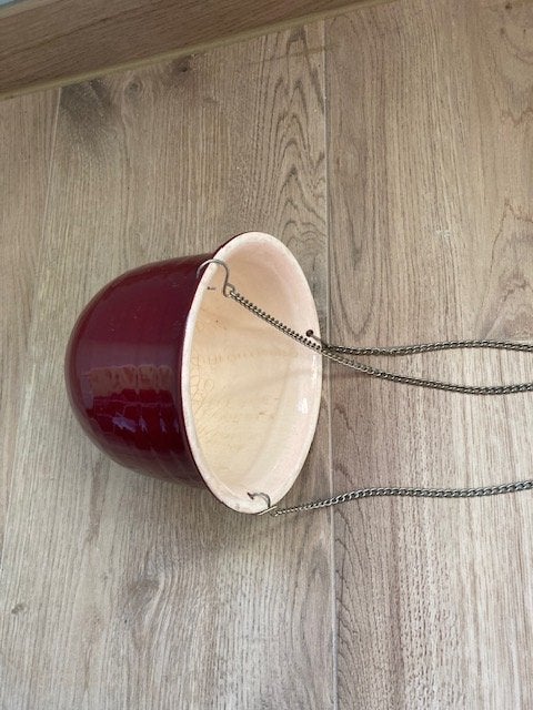 hangpot, Overige soorten, In pot, Minder dan 100 cm, Halfschaduw