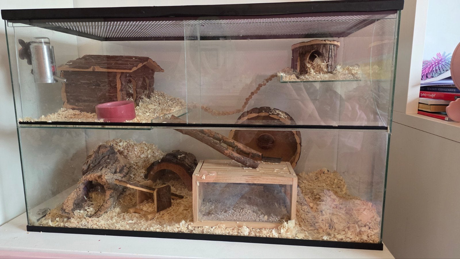 Glazen hok/kooi terrarium (groot) 80x40x50, Dieren en Toebehoren, Ophalen, Hok, Hamster, Minder dan 60 cm