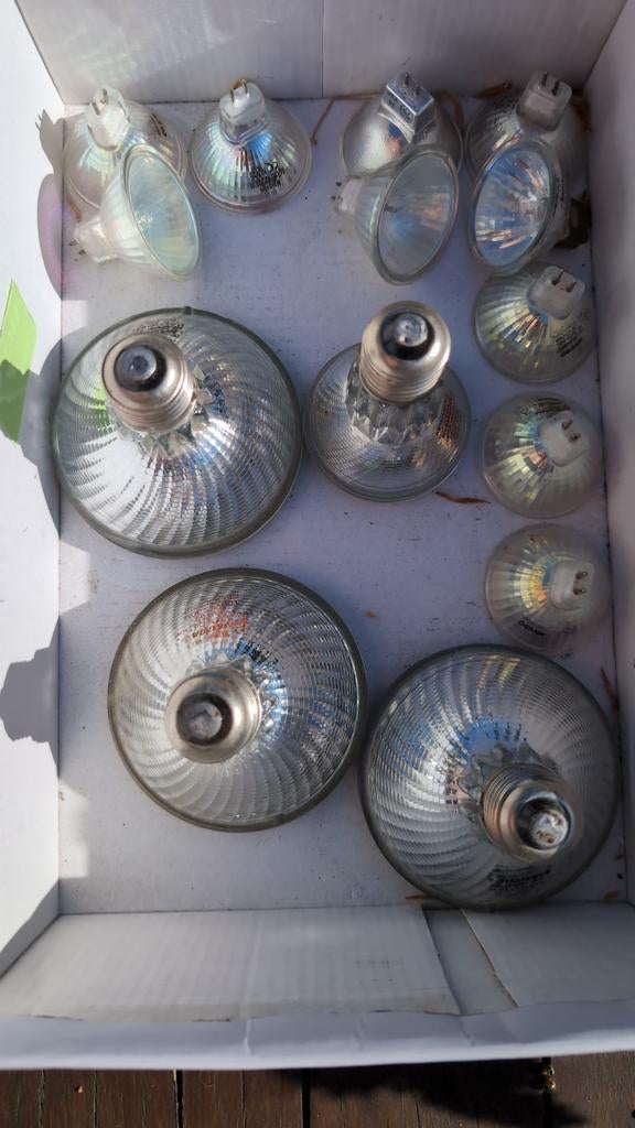 Doos met diverse halogeenlampen (Sylvania, Majestic), Gebruikt, 60 watt of meer, Halogeen (gloei)lamp, Bipin of Steekvoet